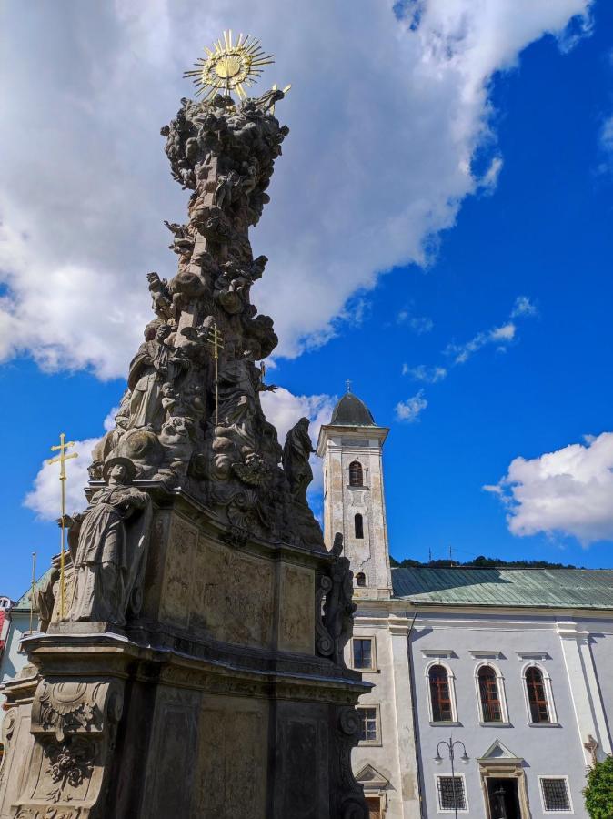 Krizkov Dom Apartment Кремница Екстериор снимка