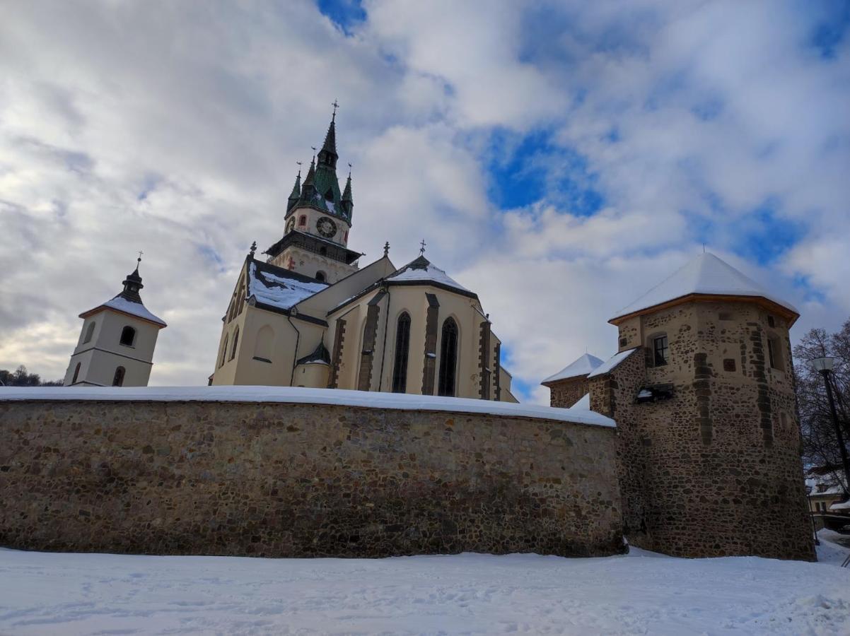 Krizkov Dom Apartment Кремница Екстериор снимка