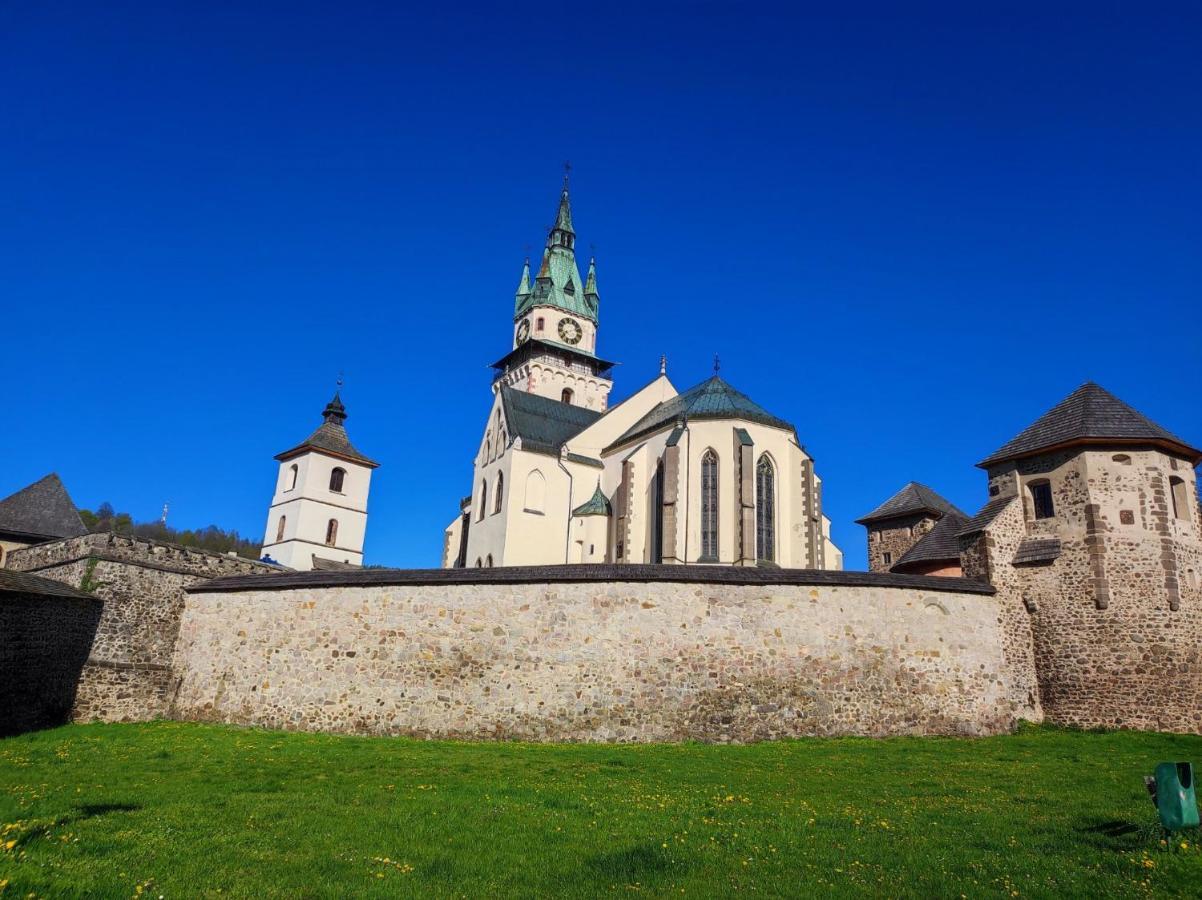 Krizkov Dom Apartment Кремница Екстериор снимка